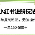 小红书进阶玩法,一单150-500+,简单复制粘贴,小白也能轻松上手【揭秘】-我创创业-副业网-网络创业-资源分享-网课资源-学习教程-学知识-自媒体-抖音-视频号-小红书-网络项目,赚钱软件,副业,兼职,学生赚,挂机赚-我创创业-副业网-5ccy.cn