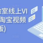 电商实验室线上VIP,淘系淘宝视频课(全面版)-我创创业-副业网-网络创业-资源分享-网课资源-学习教程-学知识-自媒体-抖音-视频号-小红书-网络项目,赚钱软件,副业,兼职,学生赚,挂机赚-我创创业-副业网-5ccy.cn