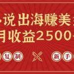 (9765期)小说出海赚美金,稿费月收益2500+美金,仅需chatgpt粘贴复制,新手也能玩转-我创创业-副业网-网络创业-资源分享-网课资源-学习教程-学知识-自媒体-抖音-视频号-小红书-网络项目,赚钱软件,副业,兼职,学生赚,挂机赚-我创创业-副业网-5ccy.cn