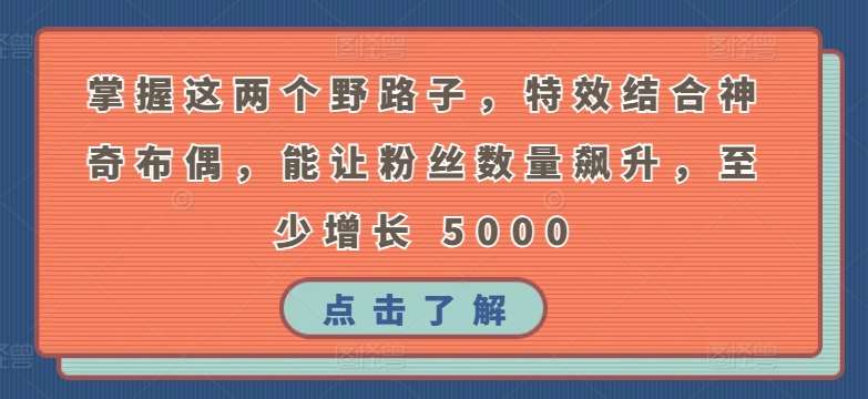 掌握这两个野路子，特效结合神奇布偶，能让粉丝数量飙升，至少增长 5000【揭秘】-我创创业-副业网-网络创业-资源分享-网课资源-学习教程-学知识-自媒体-抖音-视频号-小红书-网络项目,赚钱软件,副业,兼职,学生赚,挂机赚-我创创业-副业网-5ccy.cn