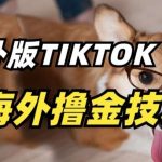 抖音海外版tiktok撸金技术，这个风口行业，赚钱真的不难【揭秘】-我创创业-副业网-网络创业-资源分享-网课资源-学习教程-学知识-自媒体-抖音-视频号-小红书-网络项目,赚钱软件,副业,兼职,学生赚,挂机赚-我创创业-副业网-5ccy.cn