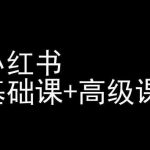 小红书基础课+高级课-小红书运营教程-我创创业-副业网-网络创业-资源分享-网课资源-学习教程-学知识-自媒体-抖音-视频号-小红书-网络项目,赚钱软件,副业,兼职,学生赚,挂机赚-我创创业-副业网-5ccy.cn