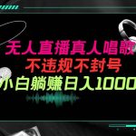 (9622期）抖音24小时无人直播音乐，不违规，不封号纯撸音浪，小白实操当天日入1000+-我创创业-副业网-网络创业-资源分享-网课资源-学习教程-学知识-自媒体-抖音-视频号-小红书-网络项目,赚钱软件,副业,兼职,学生赚,挂机赚-我创创业-副业网-5ccy.cn