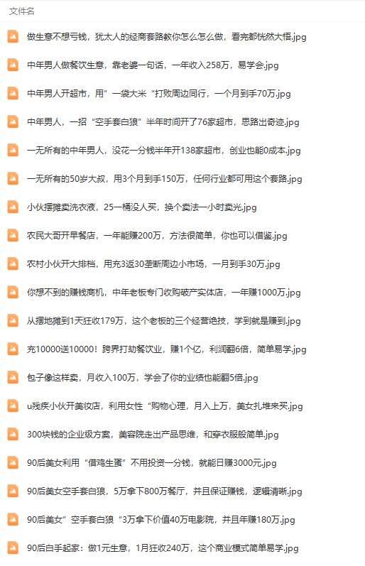 （9607期）真实有效391套商业模式，年入几十到几百万案例解析（电子书+视频+图文）