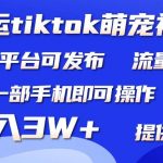 （9618期）搬运Tiktok萌宠类视频，一部手机即可。所有短视频平台均可操作，月入3W+-我创创业-副业网-网络创业-资源分享-网课资源-学习教程-学知识-自媒体-抖音-视频号-小红书-网络项目,赚钱软件,副业,兼职,学生赚,挂机赚-我创创业-副业网-5ccy.cn