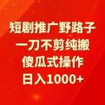 (9586期)短剧推广野路子,一刀不剪纯搬运,傻瓜式操作,日入1000+-我创创业-副业网-网络创业-资源分享-网课资源-学习教程-学知识-自媒体-抖音-视频号-小红书-网络项目,赚钱软件,副业,兼职,学生赚,挂机赚-我创创业-副业网-5ccy.cn