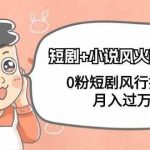 小说+短剧风火特训营，0粉短剧小说风行推广，实现月入过万-我创创业-副业网-网络创业-资源分享-网课资源-学习教程-学知识-自媒体-抖音-视频号-小红书-网络项目,赚钱软件,副业,兼职,学生赚,挂机赚-我创创业-副业网-5ccy.cn