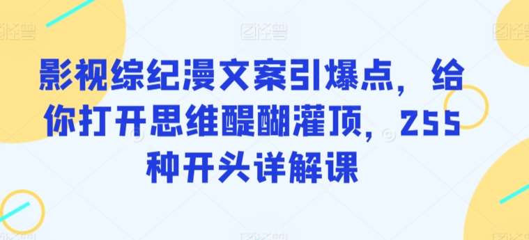 影视综纪漫文案引爆点，给你打开思维醍醐灌顶，255种开头详解课-我创创业-副业网-网络创业-资源分享-网课资源-学习教程-学知识-自媒体-抖音-视频号-小红书-网络项目,赚钱软件,副业,兼职,学生赚,挂机赚-我创创业-副业网-5ccy.cn