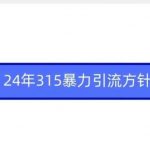 24年315暴力引流方针-我创创业-副业网-网络创业-资源分享-网课资源-学习教程-学知识-自媒体-抖音-视频号-小红书-网络项目,赚钱软件,副业,兼职,学生赚,挂机赚-我创创业-副业网-5ccy.cn