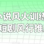 短剧+小说风火训练营,0粉短剧风行推广-我创创业-副业网-网络创业-资源分享-网课资源-学习教程-学知识-自媒体-抖音-视频号-小红书-网络项目,赚钱软件,副业,兼职,学生赚,挂机赚-我创创业-副业网-5ccy.cn