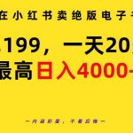 (9401期)在小红书卖绝版电子书,一单199 一天最多搞20多单,最高日入4000+教程+资料-我创创业-副业网-网络创业-资源分享-网课资源-学习教程-学知识-自媒体-抖音-视频号-小红书-网络项目,赚钱软件,副业,兼职,学生赚,挂机赚-我创创业-副业网-5ccy.cn