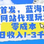 全网首发,蓝海项目,AI网站代理玩法,零成本日收入1-3千+【揭秘】-我创创业-副业网-网络创业-资源分享-网课资源-学习教程-学知识-自媒体-抖音-视频号-小红书-网络项目,赚钱软件,副业,兼职,学生赚,挂机赚-我创创业-副业网-5ccy.cn