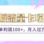 正规手机流量卡项目,一单利润100+,月入过万!人人可做(推广技术+正规渠道)-我创创业-副业网-网络创业-资源分享-网课资源-学习教程-学知识-自媒体-抖音-视频号-小红书-网络项目,赚钱软件,副业,兼职,学生赚,挂机赚-我创创业-副业网-5ccy.cn