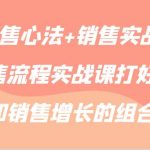 【销售心法+销售实战】销售流程实战课打好流量和销售增长的组合拳-我创创业-副业网-网络创业-资源分享-网课资源-学习教程-学知识-自媒体-抖音-视频号-小红书-网络项目,赚钱软件,副业,兼职,学生赚,挂机赚-我创创业-副业网-5ccy.cn
