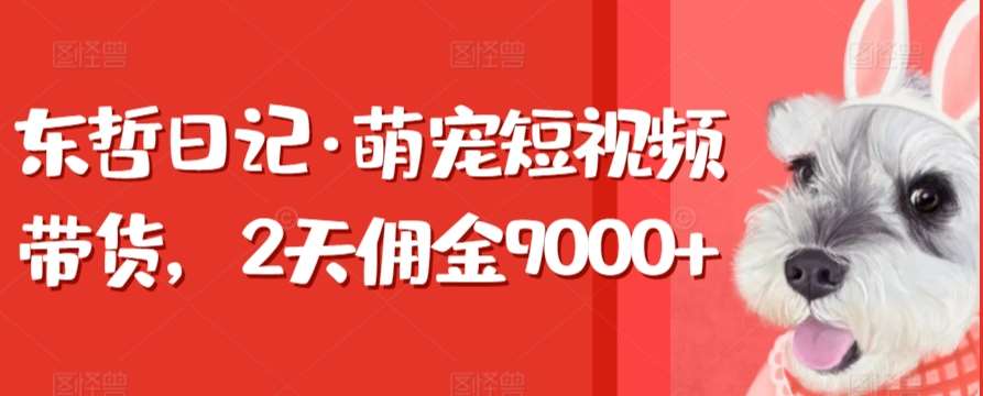 东哲日记·萌宠短视频带货，2天佣金9000+-我创创业-副业网-网络创业-资源分享-网课资源-学习教程-学知识-自媒体-抖音-视频号-小红书-网络项目,赚钱软件,副业,兼职,学生赚,挂机赚-我创创业-副业网-5ccy.cn