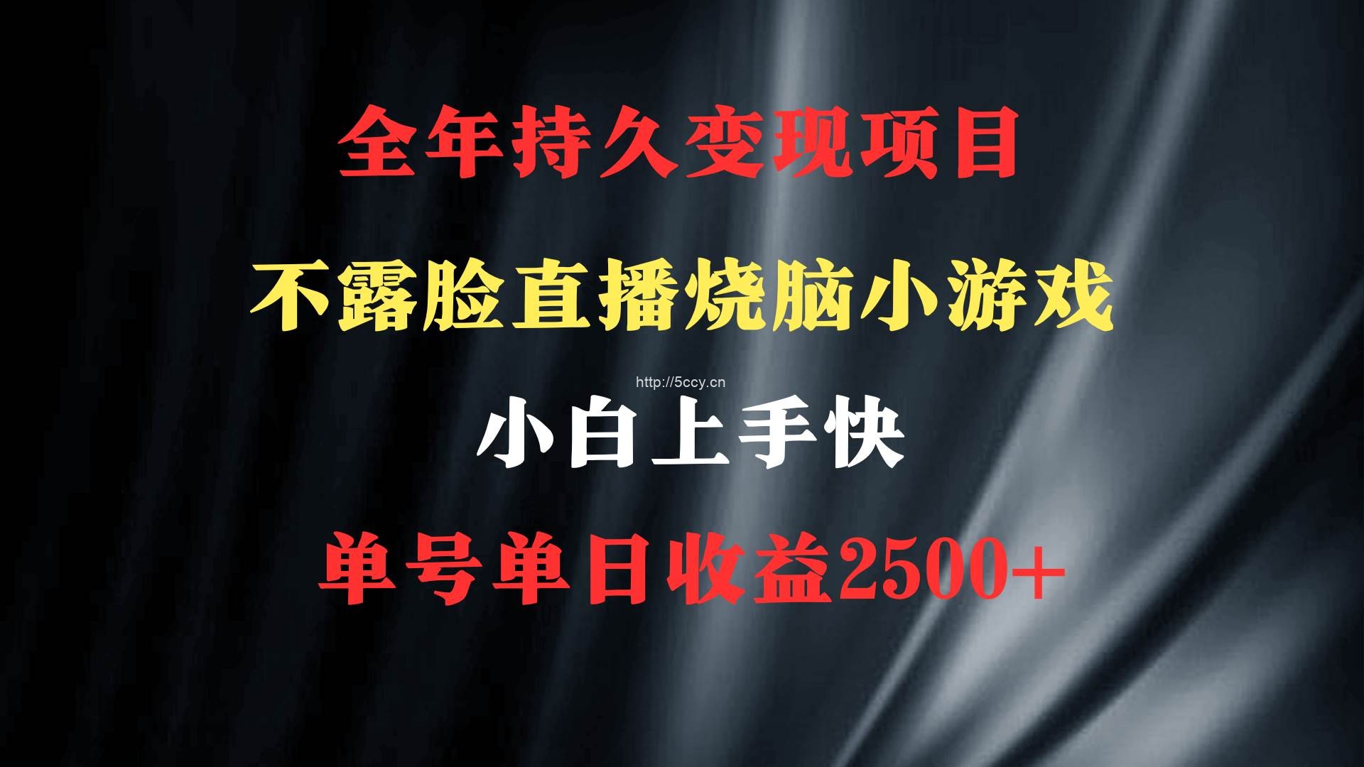 (9168期)2024年 最优项目,烧脑小游戏不露脸直播 小白上手快 无门槛 一天收益2500+
