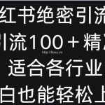 小红书绝密引流术，一天引流100＋精准流量，适合各个行业，小白也能轻松上手-我创创业-副业网-网络创业-资源分享-网课资源-学习教程-学知识-自媒体-抖音-视频号-小红书-网络项目,赚钱软件,副业,兼职,学生赚,挂机赚-我创创业-副业网-5ccy.cn