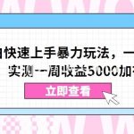 视频号小白快速上手暴力玩法，一部手机，一条视频，实测一周收益5000加有手就行【揭秘】-我创创业-副业网-网络创业-资源分享-网课资源-学习教程-学知识-自媒体-抖音-视频号-小红书-网络项目,赚钱软件,副业,兼职,学生赚,挂机赚-我创创业-副业网-5ccy.cn