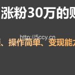 单月涨粉30万,带货收入20W,5分钟就能制作一个视频!-我创创业-副业网-网络创业-资源分享-网课资源-学习教程-学知识-自媒体-抖音-视频号-小红书-网络项目,赚钱软件,副业,兼职,学生赚,挂机赚-我创创业-副业网-5ccy.cn