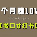 好上手,0投入,上限很高,小红书口才打卡项目解析,非常适合新手-我创创业-副业网-网络创业-资源分享-网课资源-学习教程-学知识-自媒体-抖音-视频号-小红书-网络项目,赚钱软件,副业,兼职,学生赚,挂机赚-我创创业-副业网-5ccy.cn