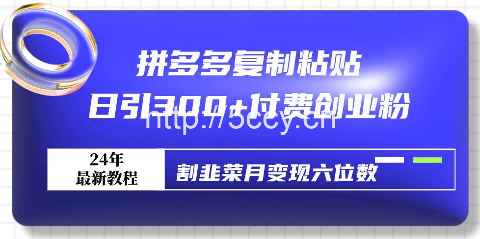(9129期)拼多多复制粘贴日引300+付费创业粉,割韭菜月变现六位数最新教程!