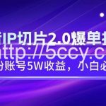 (9132期)抖音IP切片2.0爆单打法,千粉账号5W收益,小白必备-我创创业-副业网-网络创业-资源分享-网课资源-学习教程-学知识-自媒体-抖音-视频号-小红书-网络项目,赚钱软件,副业,兼职,学生赚,挂机赚-我创创业-副业网-5ccy.cn