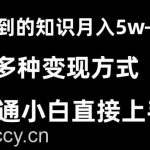 抖音刷到的知识，每天只需2小时，日入2000+，暴力变现，普通小白直接上手【揭秘】-我创创业-副业网-网络创业-资源分享-网课资源-学习教程-学知识-自媒体-抖音-视频号-小红书-网络项目,赚钱软件,副业,兼职,学生赚,挂机赚-我创创业-副业网-5ccy.cn