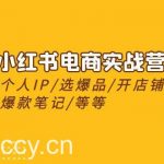 （10376期）2024小红书电商实战营，养号打造IP/选爆品/开店铺/爆款笔记/等等（24节）-我创创业-副业网-网络创业-资源分享-网课资源-学习教程-学知识-自媒体-抖音-视频号-小红书-网络项目,赚钱软件,副业,兼职,学生赚,挂机赚-我创创业-副业网-5ccy.cn