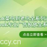 (9064期)Facebook-菜鸟到老鸟全系列运营玩法+Facebook-专业广告投放全系列课程-我创创业-副业网-网络创业-资源分享-网课资源-学习教程-学知识-自媒体-抖音-视频号-小红书-网络项目,赚钱软件,副业,兼职,学生赚,挂机赚-我创创业-副业网-5ccy.cn
