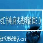 小红书电商实战精通课3.0，抓住小红书平台的风口，不错过有一个赚钱的机会-我创创业-副业网-网络创业-资源分享-网课资源-学习教程-学知识-自媒体-抖音-视频号-小红书-网络项目,赚钱软件,副业,兼职,学生赚,挂机赚-我创创业-副业网-5ccy.cn