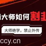 （9049期）营销大师如何割韭菜：流量大师/讲故事大师/话术大师/卖货大师/成交大师/…-我创创业-副业网-网络创业-资源分享-网课资源-学习教程-学知识-自媒体-抖音-视频号-小红书-网络项目,赚钱软件,副业,兼职,学生赚,挂机赚-我创创业-副业网-5ccy.cn