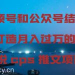 视频号和公众号结合打造月入过万的小说cps推文项目，包括市面上面的各种思路详解-我创创业-副业网-网络创业-资源分享-网课资源-学习教程-学知识-自媒体-抖音-视频号-小红书-网络项目,赚钱软件,副业,兼职,学生赚,挂机赚-我创创业-副业网-5ccy.cn