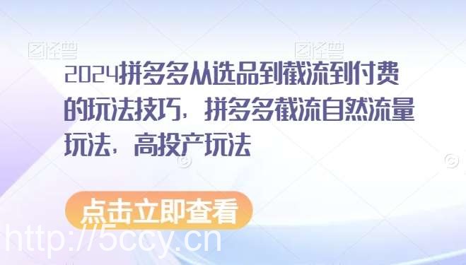 2024拼多多从选品到截流到付费的玩法技巧，拼多多截流自然流量玩法，高投产玩法-我创创业-副业网-网络创业-资源分享-网课资源-学习教程-学知识-自媒体-抖音-视频号-小红书-网络项目,赚钱软件,副业,兼职,学生赚,挂机赚-我创创业-副业网-5ccy.cn