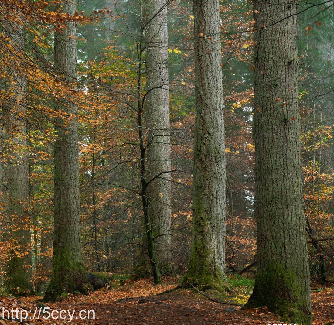 （9035期）Alister Benn富有表现力的风光后期减淡和加深大师班-中英字幕