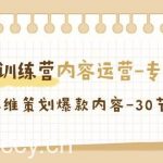 (9013期)流量训练营之内容运营-专项课,用流量思维策划爆款内容-30节-无水印-我创创业-副业网-网络创业-资源分享-网课资源-学习教程-学知识-自媒体-抖音-视频号-小红书-网络项目,赚钱软件,副业,兼职,学生赚,挂机赚-我创创业-副业网-5ccy.cn