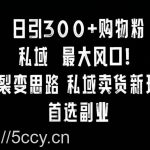 日引300+购物粉,超级裂变思路,私域卖货新玩法,小红书首选副业【揭秘】-我创创业-副业网-网络创业-资源分享-网课资源-学习教程-学知识-自媒体-抖音-视频号-小红书-网络项目,赚钱软件,副业,兼职,学生赚,挂机赚-我创创业-副业网-5ccy.cn