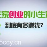 (8999期)在家创业,日引300+创业粉,一年收入30万,闷声发财的小生意,比打工强-我创创业-副业网-网络创业-资源分享-网课资源-学习教程-学知识-自媒体-抖音-视频号-小红书-网络项目,赚钱软件,副业,兼职,学生赚,挂机赚-我创创业-副业网-5ccy.cn