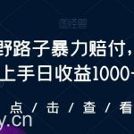 最新野路子暴力赔付,当天上手日收益1000+【仅揭秘】-我创创业-副业网-网络创业-资源分享-网课资源-学习教程-学知识-自媒体-抖音-视频号-小红书-网络项目,赚钱软件,副业,兼职,学生赚,挂机赚-我创创业-副业网-5ccy.cn