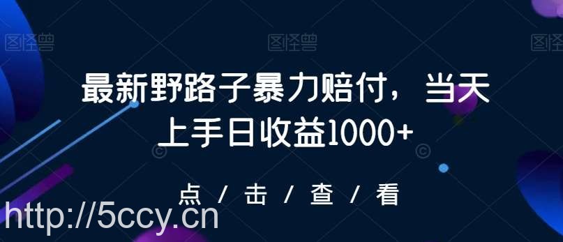 最新野路子暴力赔付，当天上手日收益1000+【仅揭秘】-我创创业-副业网-网络创业-资源分享-网课资源-学习教程-学知识-自媒体-抖音-视频号-小红书-网络项目,赚钱软件,副业,兼职,学生赚,挂机赚-我创创业-副业网-5ccy.cn