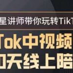 TikTok中视频课程30天线上陪跑,明星讲师带你玩转TikTok-我创创业-副业网-网络创业-资源分享-网课资源-学习教程-学知识-自媒体-抖音-视频号-小红书-网络项目,赚钱软件,副业,兼职,学生赚,挂机赚-我创创业-副业网-5ccy.cn