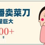 无人冷门品直播新玩法，通过卖菜刀日入1000+【揭秘】-我创创业-副业网-网络创业-资源分享-网课资源-学习教程-学知识-自媒体-抖音-视频号-小红书-网络项目,赚钱软件,副业,兼职,学生赚,挂机赚-我创创业-副业网-5ccy.cn