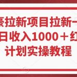 年度最豪拉新项目拉新一人可达40元单日收入1000＋红薯推广计划实操教程【揭秘】-我创创业-副业网-网络创业-资源分享-网课资源-学习教程-学知识-自媒体-抖音-视频号-小红书-网络项目,赚钱软件,副业,兼职,学生赚,挂机赚-我创创业-副业网-5ccy.cn