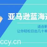 （8907期）亚马逊-蓝海选品课：适合新手小白卖家，让你轻松日出几十单小爆款产品-我创创业-副业网-网络创业-资源分享-网课资源-学习教程-学知识-自媒体-抖音-视频号-小红书-网络项目,赚钱软件,副业,兼职,学生赚,挂机赚-我创创业-副业网-5ccy.cn