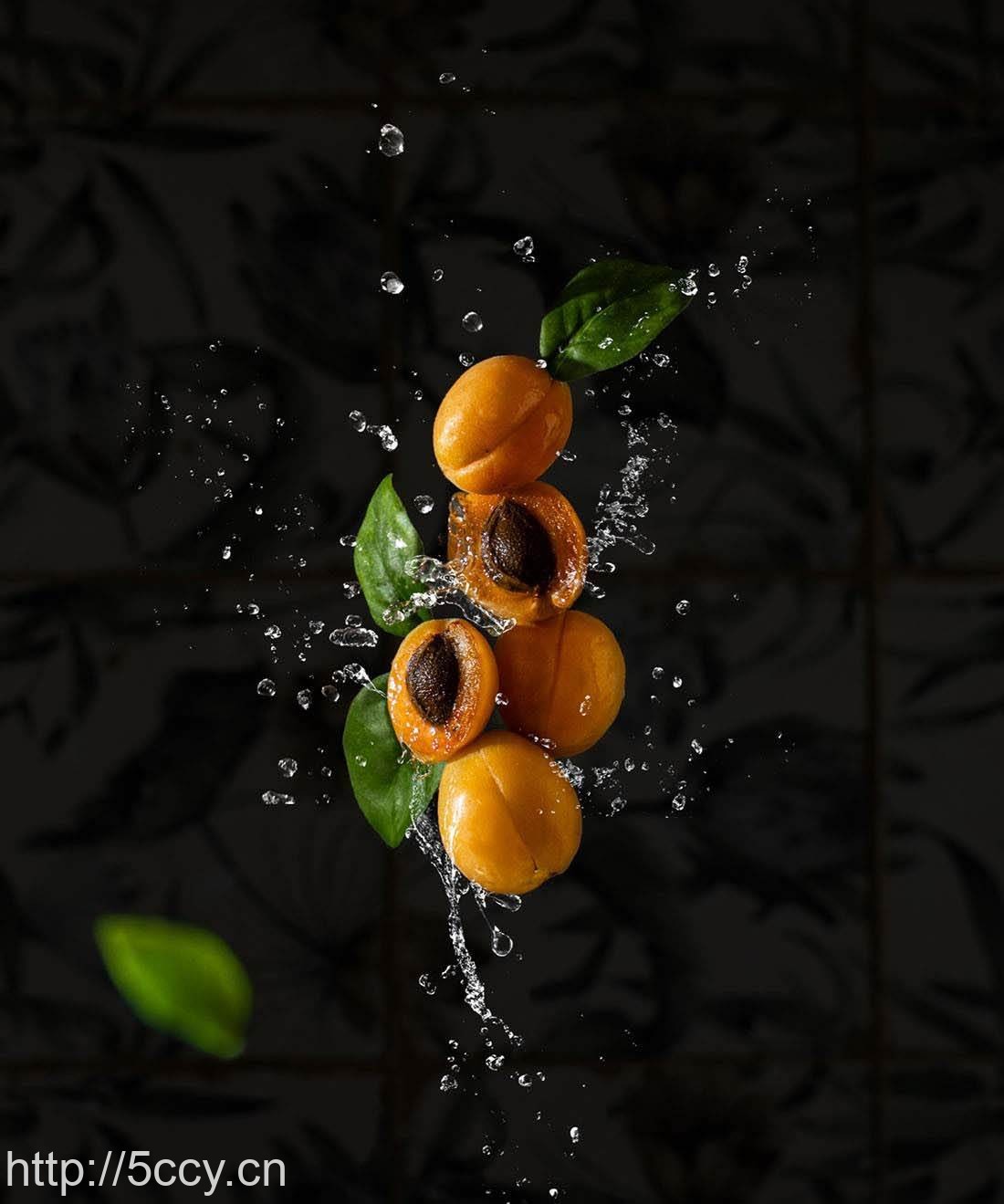 （8900期）摄影师Daria Kalugina 12种悬浮美食摄影布光造型教程-21节课-中文字幕