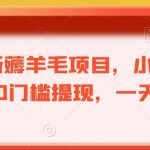 最新薅羊毛项目，小白首选，0门槛提现，一天140+【揭秘】-我创创业-副业网-网络创业-资源分享-网课资源-学习教程-学知识-自媒体-抖音-视频号-小红书-网络项目,赚钱软件,副业,兼职,学生赚,挂机赚-我创创业-副业网-5ccy.cn