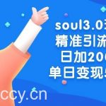 （8885期）soul3.0玩法精准引流s粉，日加200人单日变现500+-我创创业-副业网-网络创业-资源分享-网课资源-学习教程-学知识-自媒体-抖音-视频号-小红书-网络项目,赚钱软件,副业,兼职,学生赚,挂机赚-我创创业-副业网-5ccy.cn