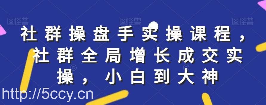 社群实操课程,社群全局增长成交实操,小白到大神