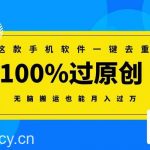 (8818期)这款手机软件一键去重,100%过原创 无脑搬运也能月入过万-我创创业-副业网-网络创业-资源分享-网课资源-学习教程-学知识-自媒体-抖音-视频号-小红书-网络项目,赚钱软件,副业,兼职,学生赚,挂机赚-我创创业-副业网-5ccy.cn