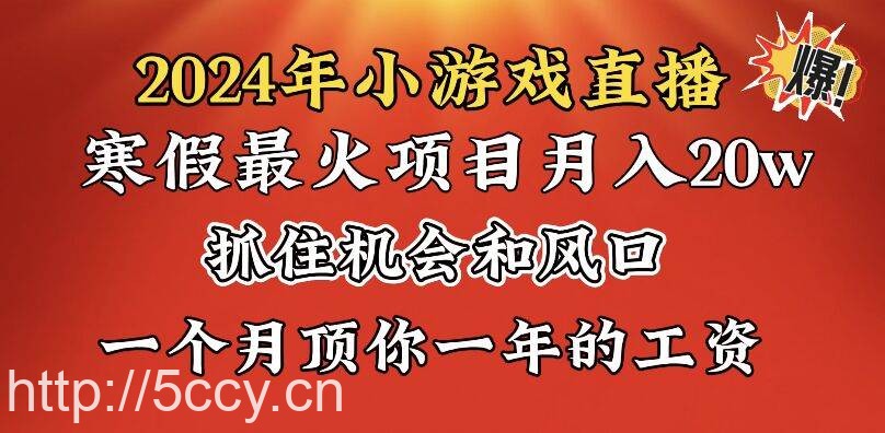 (8778期)2024年寒假爆火项目,小游戏直播月入20w ,学会了之后你将翻身