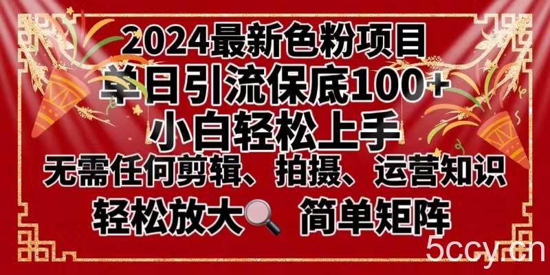 (8783期)2024最新换脸项目,小白轻松上手,单号单月变现3W+,可批量矩阵操作放大